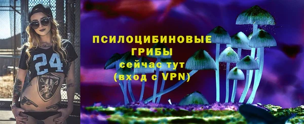 винт Богородицк