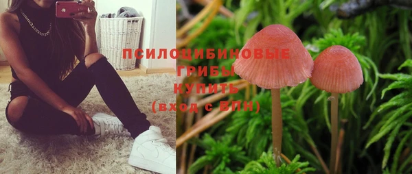 MESCALINE Богданович