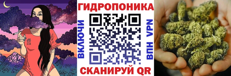 Канабис OG Kush  закладки  Новозыбков 